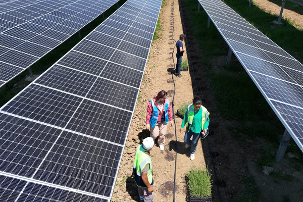 Samsun’da GES’le çiftçiler için tarım ve enerji bir arada