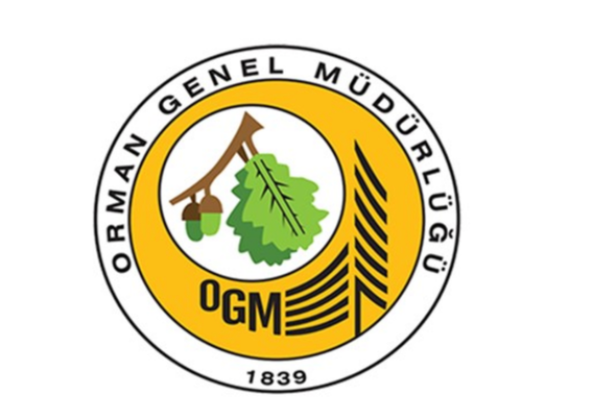 Everest