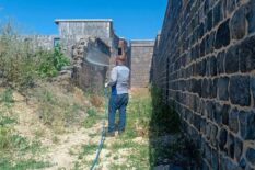 Diyarbakır’da akrep mücadelesi başlatıldı